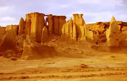 تور قشم