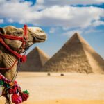 مصر