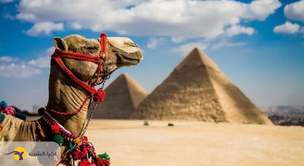 مصر