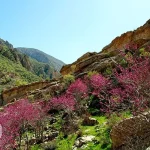 طبیعت زیبای ایلام