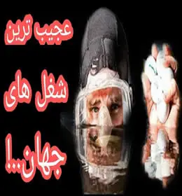 عجیب ترین شغل های جهان را بشناسید