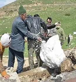 آیین برف چال مازندران