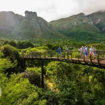 باغ آفریقای جنوبی