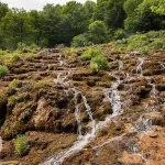 جاذبه های روستای ارفع ده