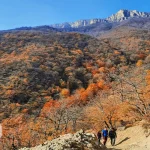 روستای ارفع ده