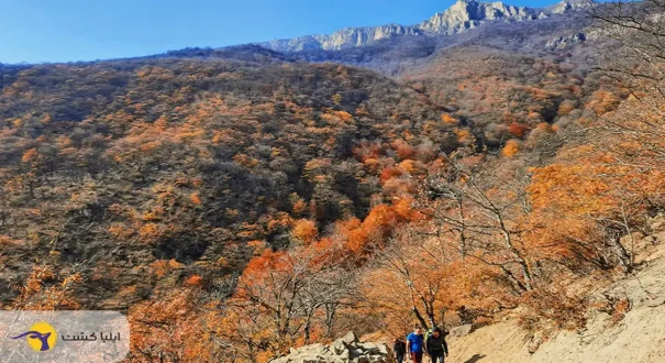 روستای ارفع ده
