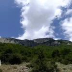 پوشش گیاهی ارفع کوه مازندران