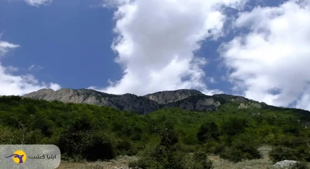 پوشش گیاهی ارفع کوه مازندران