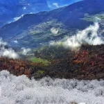 ارفع کوه مازندران