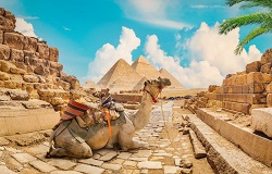 تور مصر