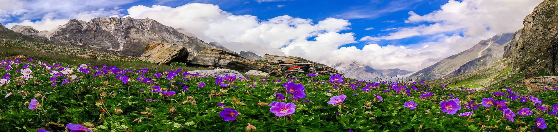 مکان های رنگی رنگی هند