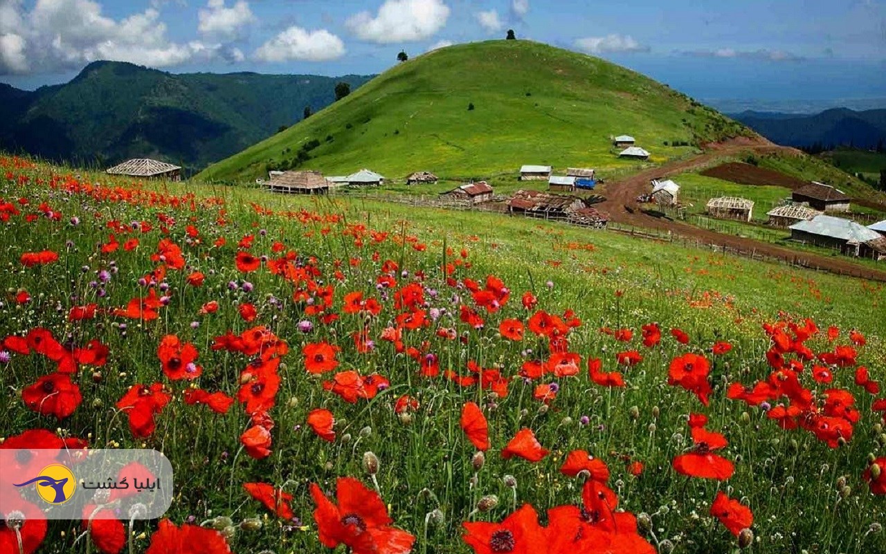تور طبیعت گردی، با قیمت های اقتصادی همراه با 15 % تخفیف