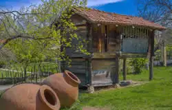 موزه مردم شناسی تفلیس