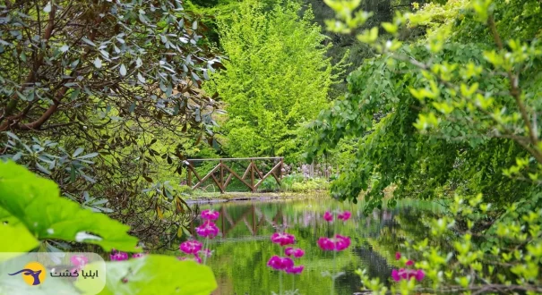 china-botanical-garden-002 رودخانه مصنوعی در باغ گیاهشناسی چین