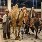 آثار هنری موجود در موزه لوک ویرسا