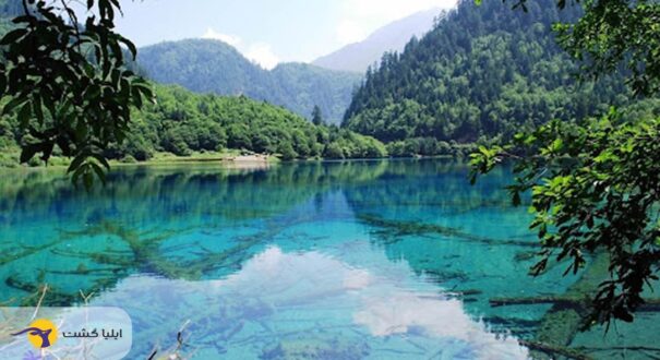 سیچوان