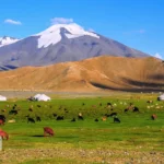 اقتصاد مغولستان