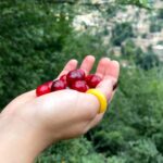 تور ماسوله و فومن 27 دی