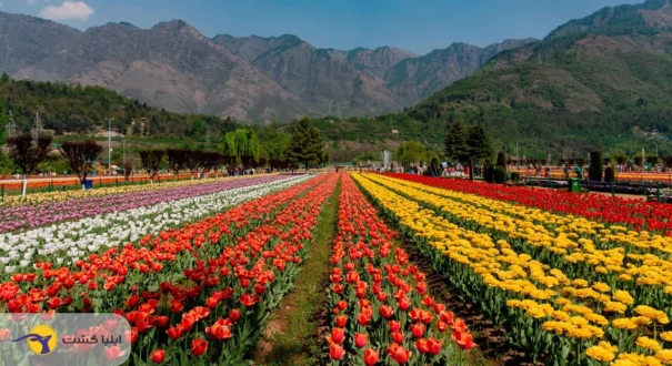 شهر کشمیر