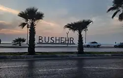 تور بوشهر