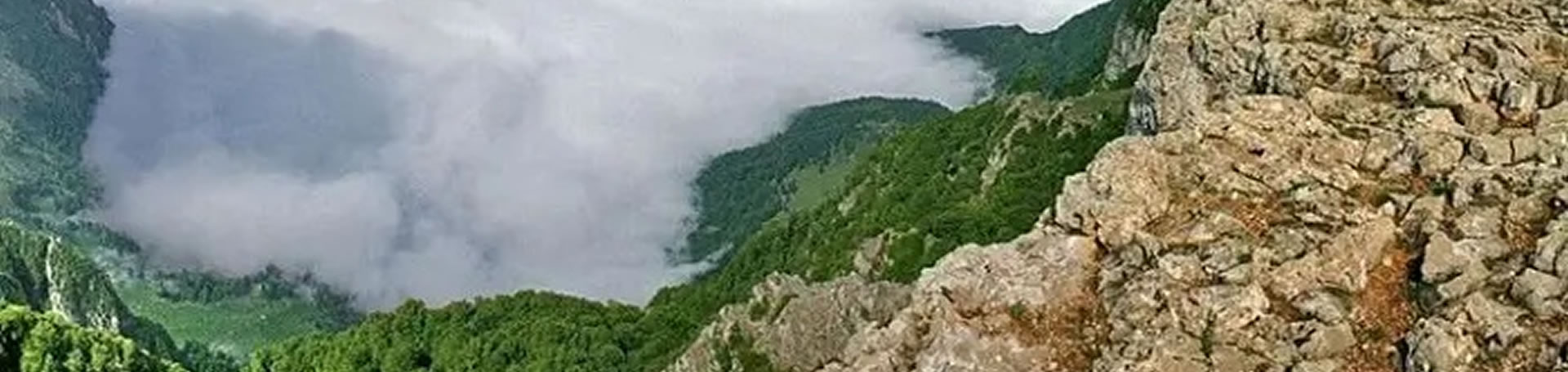 تور گروهی غار دربندرشی و جنگل سی دشت