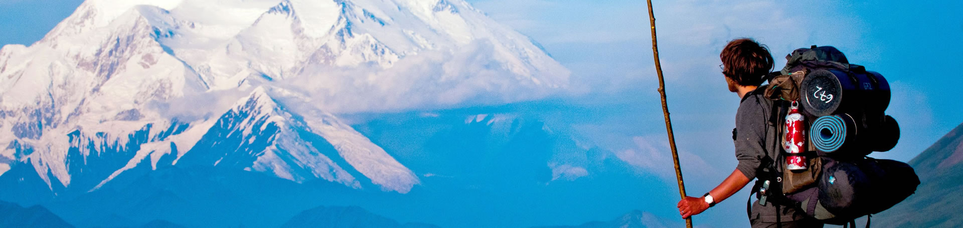 بک پکر