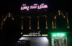 هتل تندیس همدان