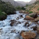 یاسوج