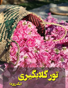 تور ریلی یک‌روزه کاشان