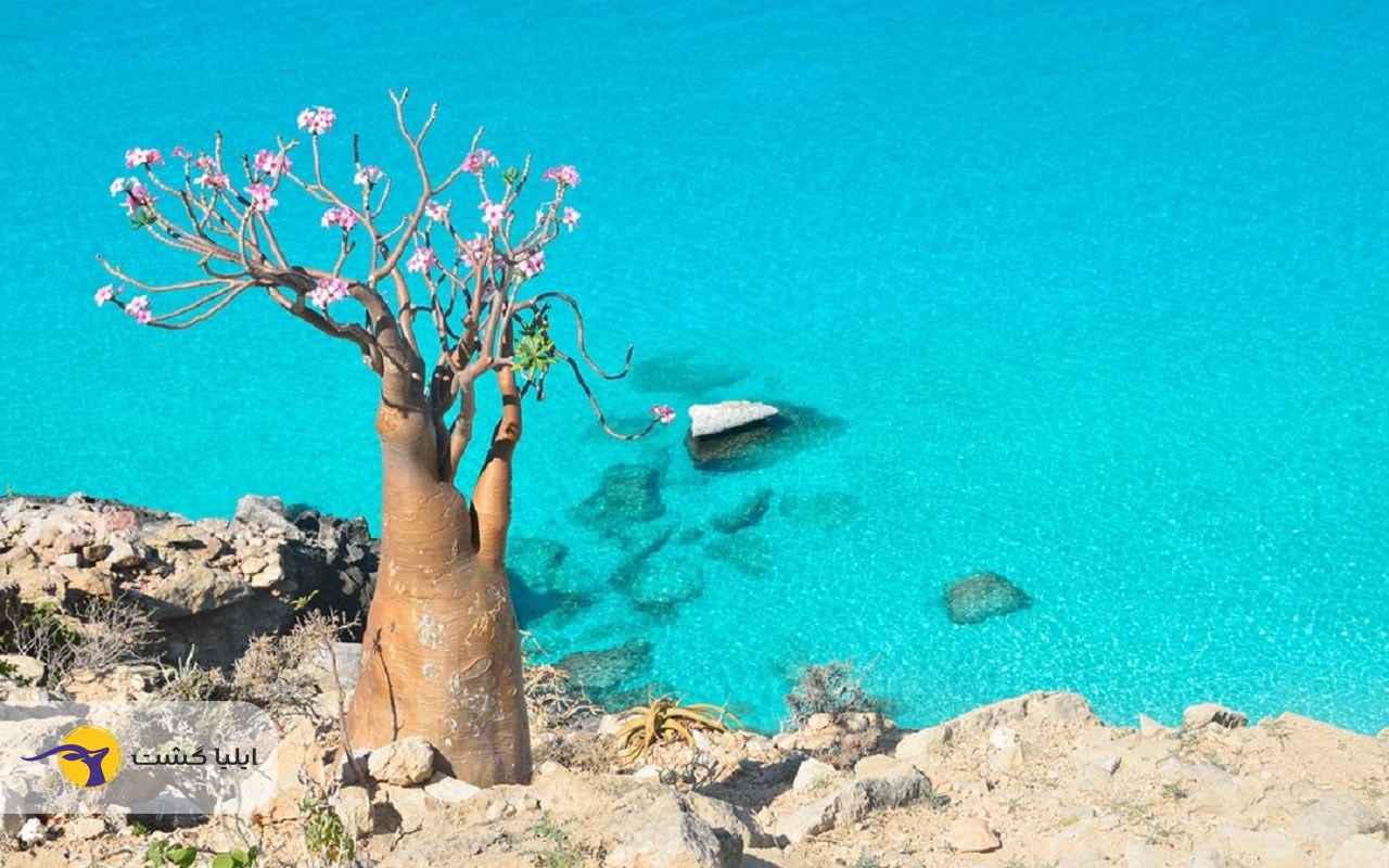 مقصدهای کمتر شناخته شده برای سفر